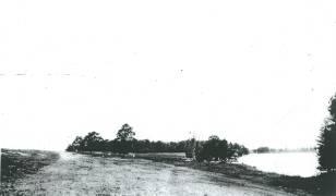 Construction photo of Hole #5. The large tree center right is still standing today, just behind the green.