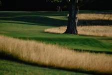 Elk Rapids Golf Course