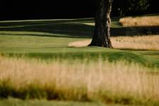 Elk Rapids Golf Course